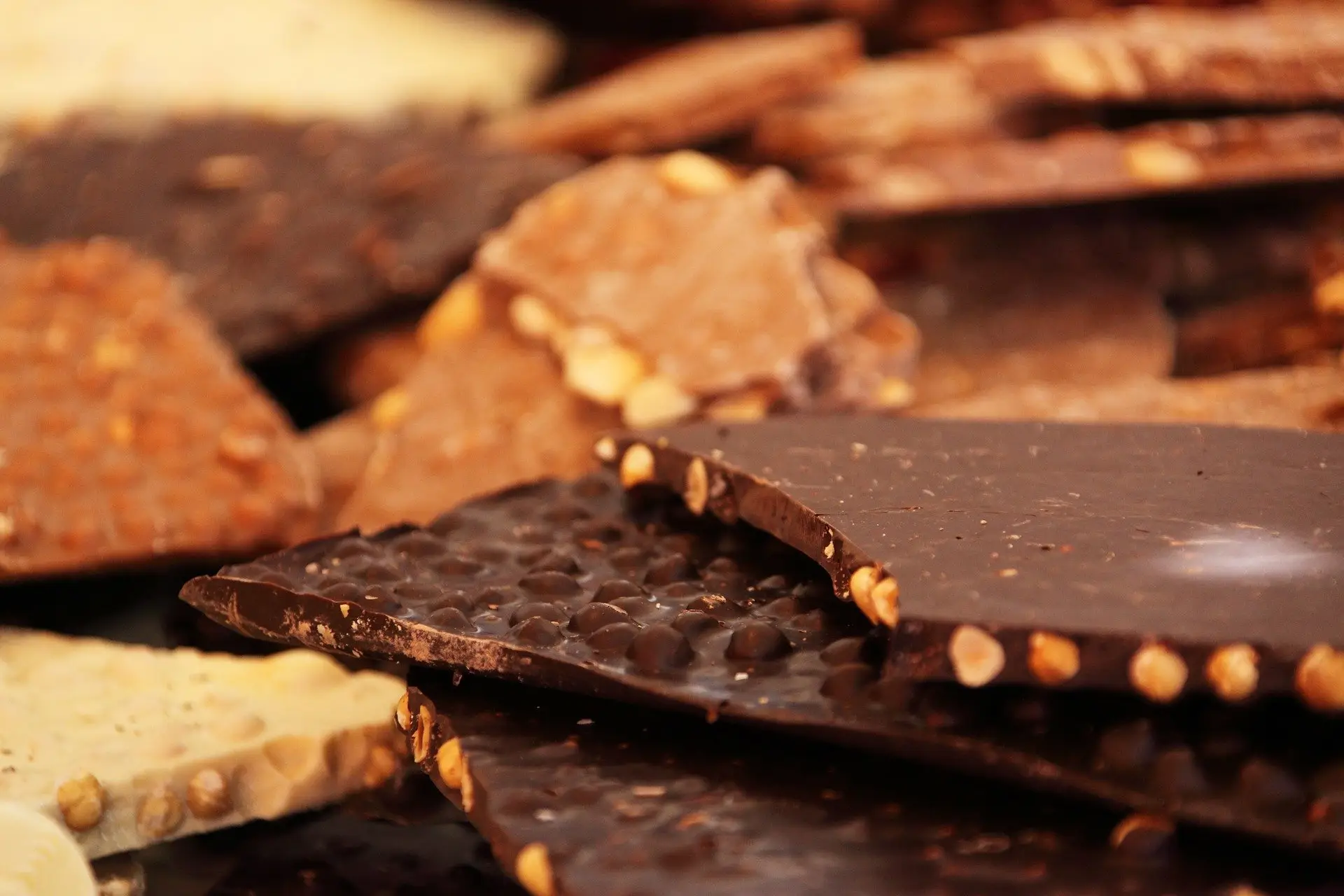 All chocolate is dangerous to dogs, but in general darker chocolate is more dangerous.